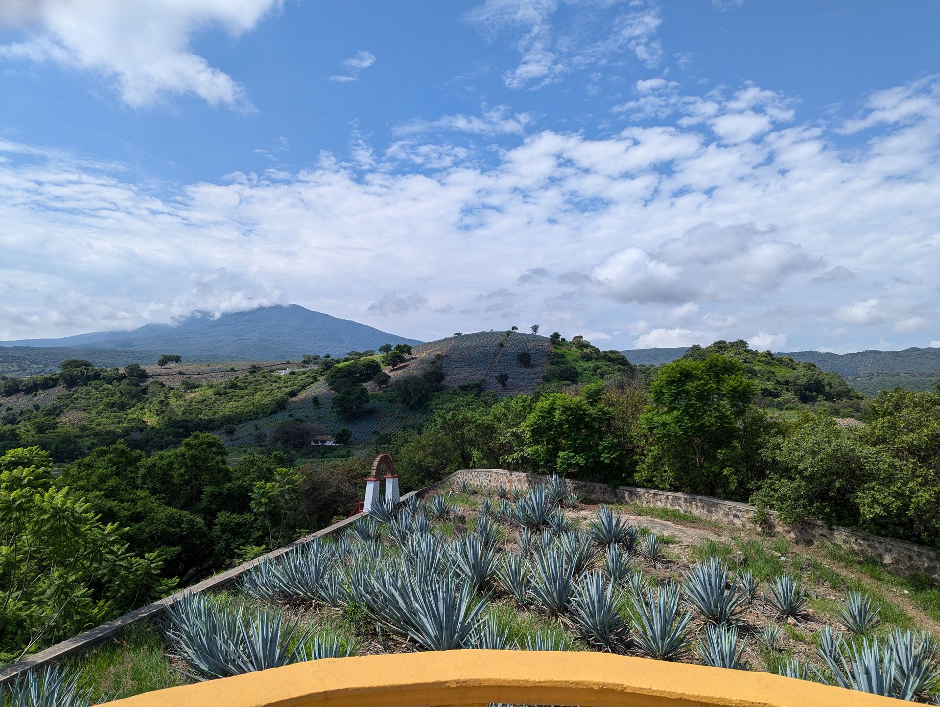 Agave fields stretching toward the Tequila volcano