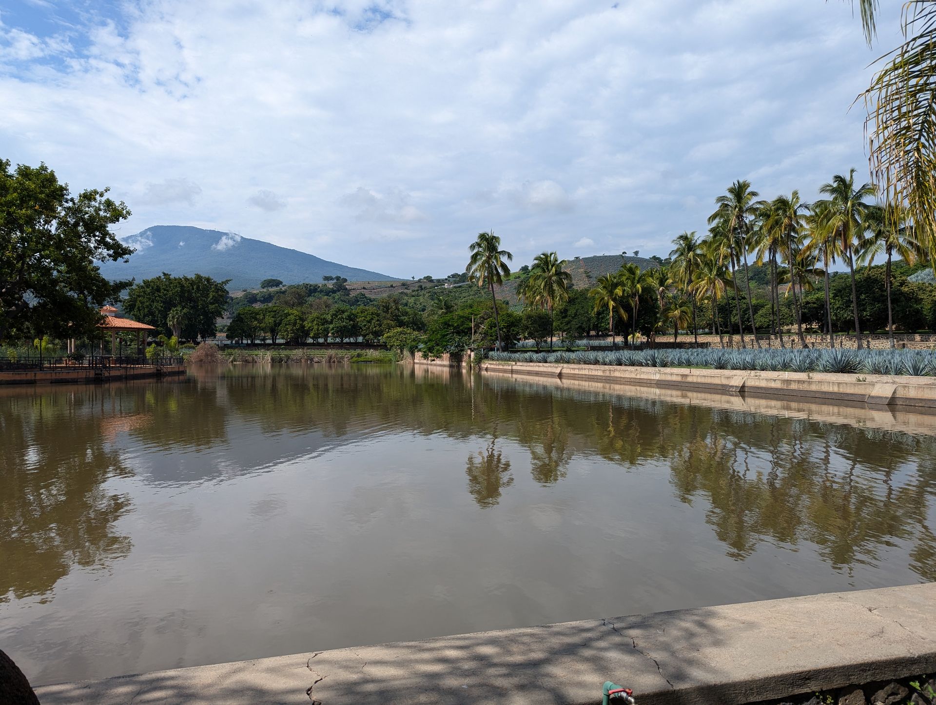 Pond and gazebo beside agave field