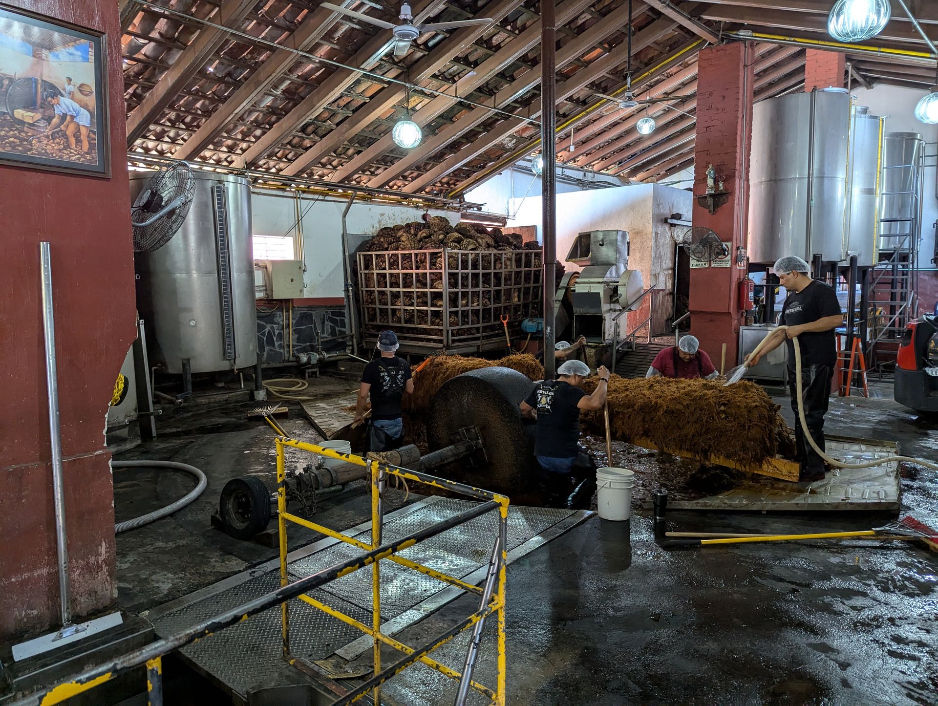 Tahona milling agave at a distillery