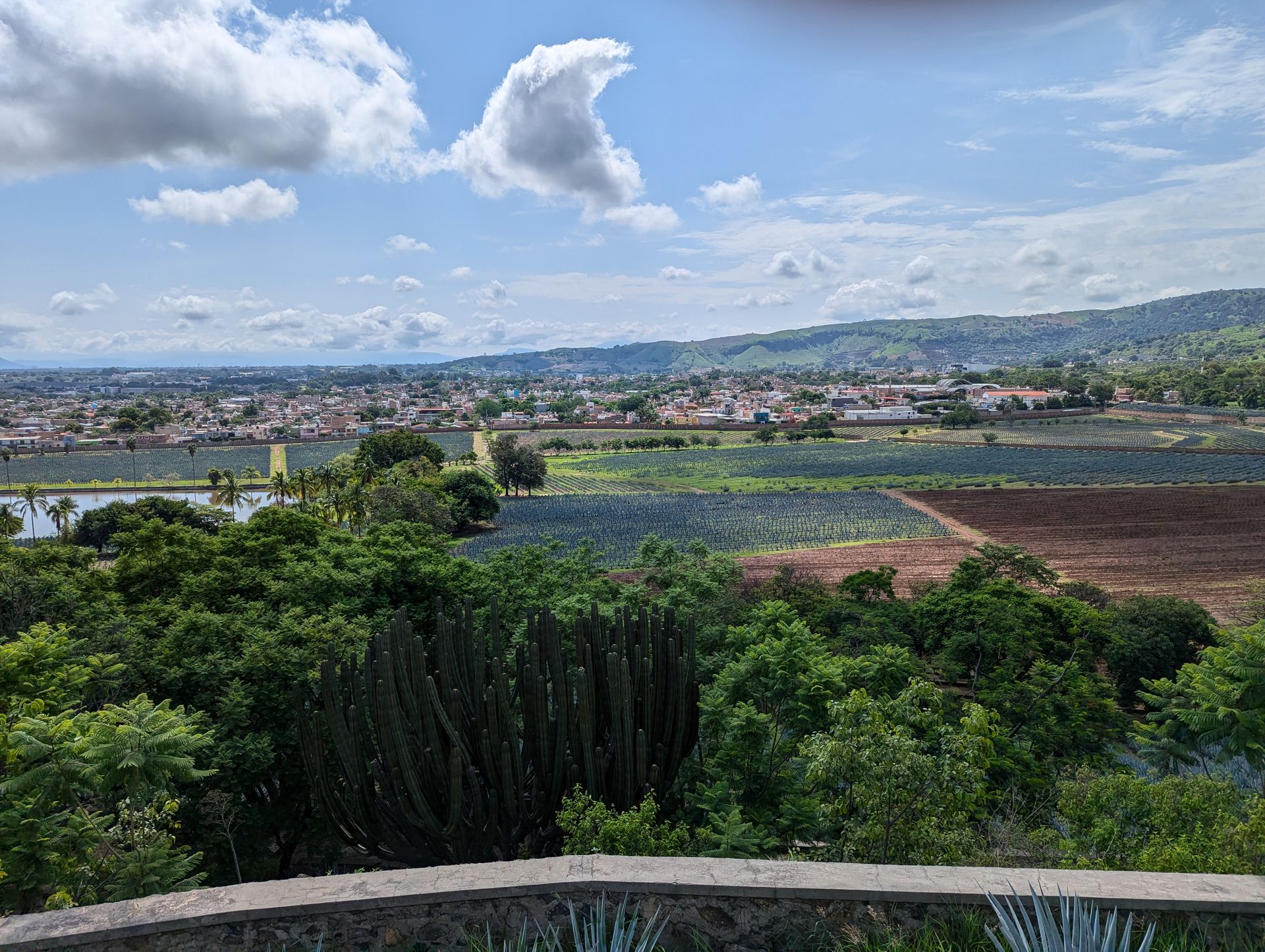 Overlook of agave fields and the town of Tequila